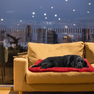 st impermeable loft wander viaje cama para mascotas perro plegable al aire libre almohadilla grande fácil de almacenar limpia alfombrilla antiadherente multi-escena (6)