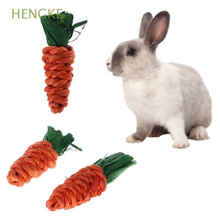 hengke - juego de 3 juguetes para mordeduras, juguetes para mascotas, juguetes para masticar, conejo, conejo, zanahoria, paja, limpieza de dientes