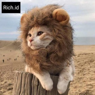 Mascota disfraz de león melena peluca para gato perro fiesta Fancy Dress Up