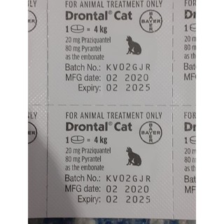 Drontal gato gusano medicina (2)