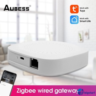 Tuya/puente Zigbee home/concentrador Inteligente/control Remoto/Dispositivos/Dispositivos de vida Inteligente/Funciona con Alexa | Cable de cable PIGSTAR1