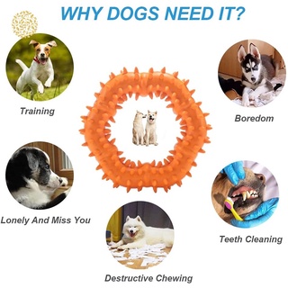 Juguete para mascotas de goma molar anillo resistente a mordeduras anillo de entrenamiento perro juguete YKT