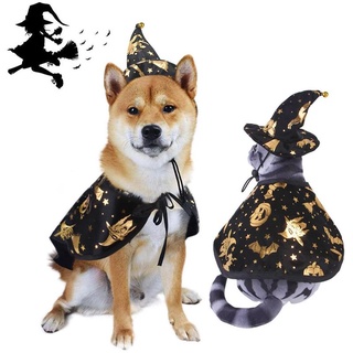 1 juego De Halloween disfraz De Halloween Para Gato perro disfraz De sombrero De mascota asistente