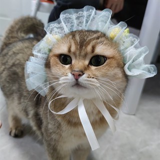 Vestido de señora mascota tocado palacio de encaje fresa criada gato tocado perro cumpleaños sombrero corona foto (2)