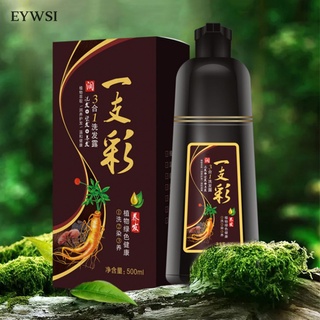 Eywsi Shampoo Nutritivo De larga duración con tinte De color Para hombre y mujer/salón De belleza (1)