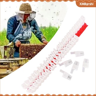 [rshi] 46 piezas de la reina de abejas de la jaula de plástico de la reina de la herramienta de captura de la reina catcher reina abeja catcher reina jaula de abeja para con seguridad