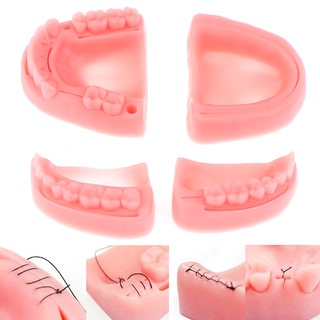 4/2pcs Simulatiaon Dental Modelo De Sutura oral suture Equipo De Formación Docente