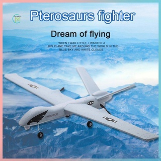 prometion z51 predator 2.4g 2ch 660mm control remoto de envergadura rc avión avión fijo planeador drone con giroscopio integrado para niños