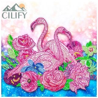 Cilify 5D DIY broca parcial en forma especial diamante pintura cisne rosa decoración del hogar
