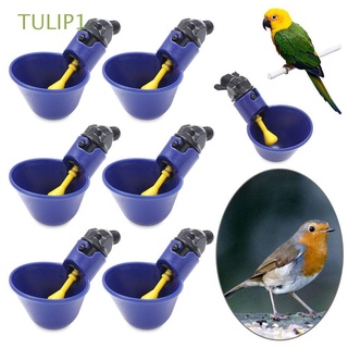 TULIP1 Nuevo producto Agua potable de plástico Gallinero Plástico Vaso de agua Granja Piensos para aves Codorniz Automaticidad Pollo