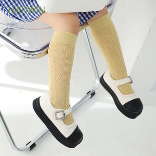 HADWIN Thin Mesh Socks Breathable Soild Color Middle Tube Socks Cute Nylon Summer Lovely Soft Girls Baby Hosiery/Multicolor