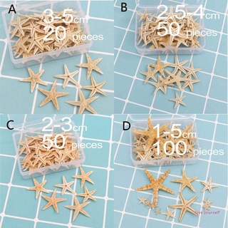 [HWD] Natural Starfish Seashell Beach Craft Natural Sea Stars DIY Beach Decor