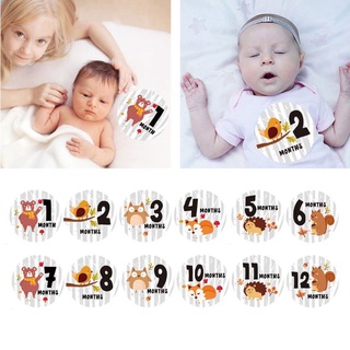 takemy bebé mujeres embarazadas mensual fotografía pegatina mes divertido 1-12 hito pegatinas (7)