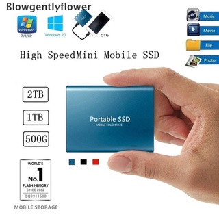 blowgentlyflower 4tb/2tb/1tbgb disco duro móvil tipo c usb3.1 portátil ssd unidad de estado sólido bgf
