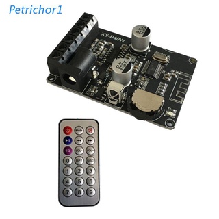 PETR XY-P40W Bluetooth Digital Amplifier Board Audio Receiver Stereo Wireless No Remote Control Bare Metal 30/40W 12/24V