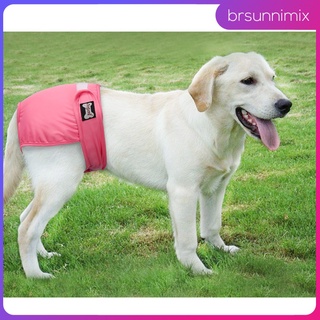 pañales para perros mujer, cómodo perro cachorro mascota pantalones fisiológicos sanitarios ropa interior menstrual pantalones