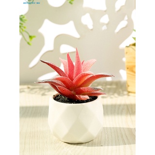 [astart] plantas suculentas multicolores en maceta de cerámica blanca suculentas artificiales con macetas para el hogar (7)