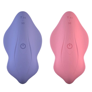 Portátil inalámbrico punto G vibrador Control remoto recargable vibración huevo Invisible bragas estimulador de las mujeres juguetes sexuales