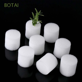 BOTAI 50 pcs Planted Sponge Homemade Hydroponic Vegetable Gardening Tools Harmless White Natural Soilless Planting Soilless cultivation/Multicolor