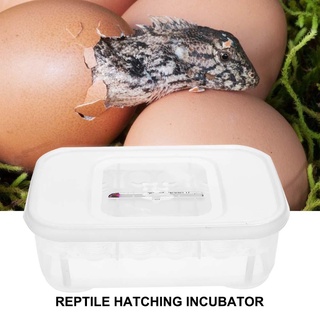 digitalblock 12 rejillas de plástico reptiles huevo incubadora bandeja lagarto serpiente huevos hatcher caja