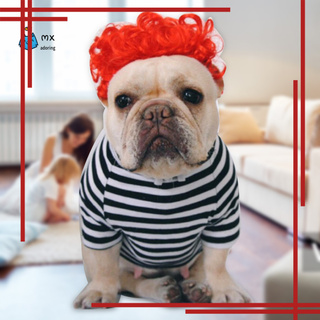 Instock moda perros gatos rizado Cosplay peluca de pelo cachorro Hearwear mascota disfraz accesorio