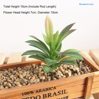 Wis Realistic Artificial Succulent Plant Hotel Cafe Simulation DIY Bonsai Decor (5)