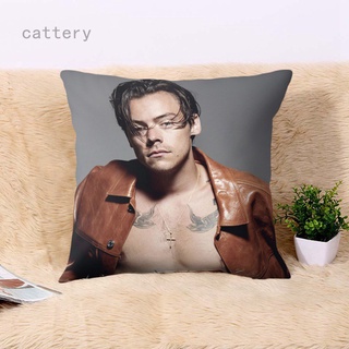 One Direction Harry Styles 1D Patrtern almohada sofá cama sofá cama sofá almohada dormitorio decoración cojín cubierta decoración del hogar