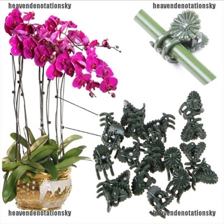 he9mx 50 piezas de abrazaderas de fijación de plantas de orquídea tallo vid soporte flores atadas rama sujeción 210907