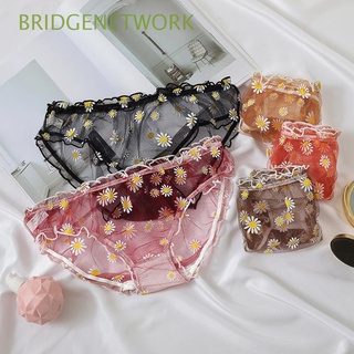 BRIDGENETWORK Intimates Lace Panties Sexy Small Daisiy Underwear Women Underpants Transparent Hollow Out Fashion Ladies Mesh Briefs/Multicolor