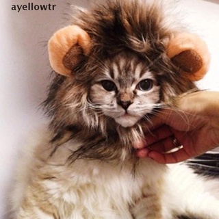 disfraz divertido para gato, disfraz de mascota de halloween, gato, león, melena, gato, disfraz de gato.