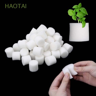 HAOTAI 50 pcs Gardening Tools Homemade Soilless cultivation Planted Sponge Harmless White Natural Soilless Planting Hydroponic Vegetable/Multicolor