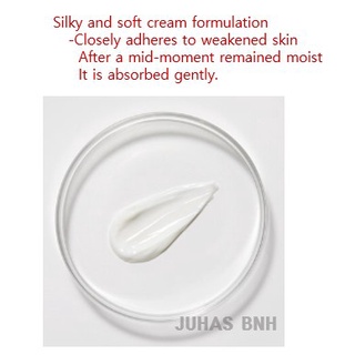 [aestura] regederm 365 reparación crema de arrugas (50 ml) (3)