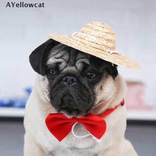 Ayc Sombrero hawaiano estilo para mascotas Sombrero perro gato Sombrero pequeño/grande MY