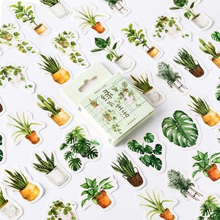 45pcs plantas verdes pegatinas conjunto Mini plantas suculentas pegatinas hogar DIY arte decoración diario adhesivo regalo letra A6584
