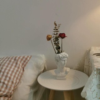 12/16 cm nórdico david jarrón maceta flor florero imitación yeso hidropónico escritorio cepillo de maquillaje de almacenamiento decoración del hogar adornos (8)