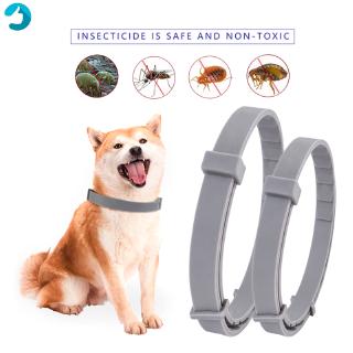 Anti pulgas mosquitos garrapatas Collar de perro insecto impermeable Herbal mascota Collar 8 meses de protección accesorios para perros