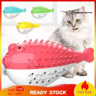 Mascota gato gatito TPR Puffer pescado cepillo de dientes Catnip Molar suave mordedura masticar juguete