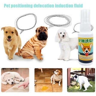inductor doméstico para mascotas, posicionamiento de perros, defecación, líquido de entrenamiento, inodoro b7z1