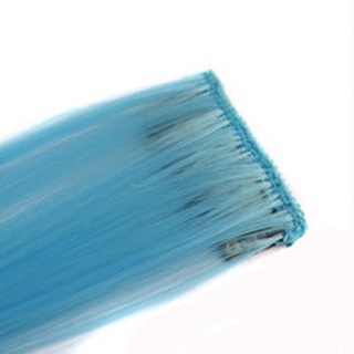 Xry 1 pza extensión De cabello Sintético Colorido para mujer Estilo largo clip recto De cabello 05.25 (5)