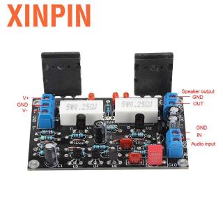 Xinpin 2SC5200 + 2S 3 100W Placa Amplificadora De Audio Con Protección De Circuito Bajo Ruido Fácil Operación DC 10V-45V (6)