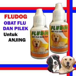 Fludog - gripe para perros/gripe/gripe/gripe/gripe y pilates para perros/perros/fiebre/perro con pienso/perro