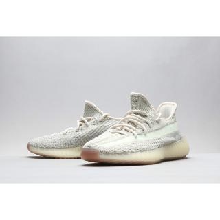 Campfire Adidas YEEZY 350 V2 New Ice Blue New Sesame Side View Coconut FW3042