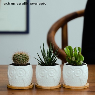 [nepic] maceta suculenta mini cerámica suculenta maceta cactus maceta con drenaje nuevo stock