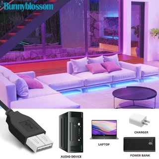 Tira de luces LED de 10 M / 30 M USB Bluetooth 5050/2835 Luz RGB SMD DC5V Cinta de tira de LED flexible Cinta de TV Pantalla de escritorio Diodo de retroiluminación (4)