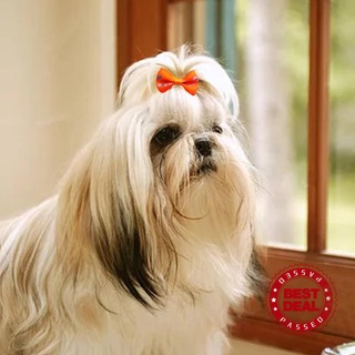 100PCS Dog Hair Bows Pet Dog Flower Headwear Rubber Accessories Clips Hair Bands Puppy N4U0