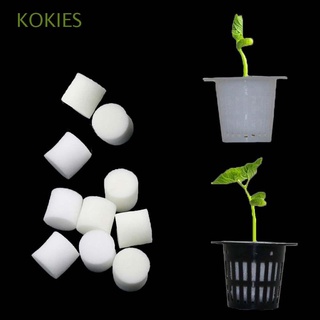 kokies blanco esponja plantada inofensiva cultivo sin suelo herramientas de jardinería natural hecho en casa 50 piezas sin tierra plantación hidropónica vegetal/multicolor