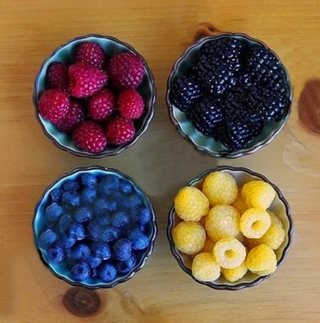 20Pcs Colorful Raspberry Berry Seeds Ordinary 4 Colors Tasty Kitchen-Garden YPYq