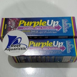 Púrpura hasta 16 OZ (473 ml)
