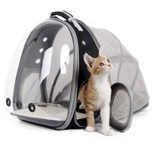 Portabicicletas expandible plegable para gatos, mochila plegable, bolsa de viaje