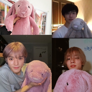 Las niñas apaciguan conejo muñeca NCT Jaemin de oreja larga conejo KPOP NCT Taeyong felpa Jellycat conejito